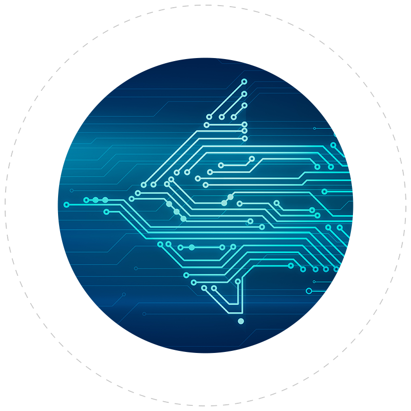 Data Migration & Extraction